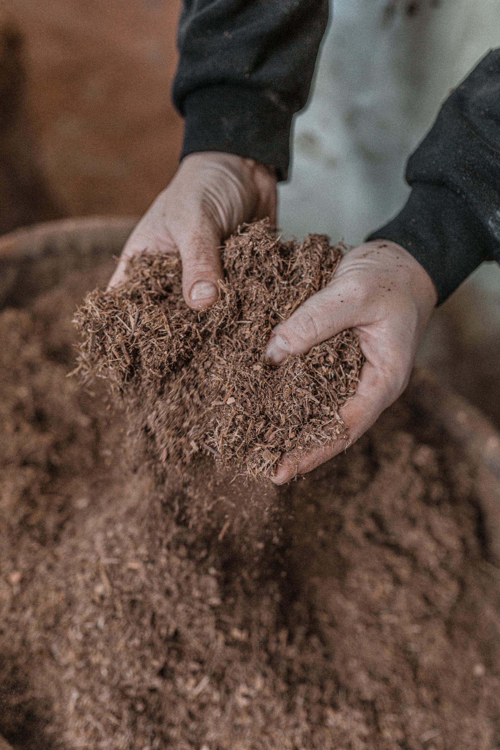 Gehäckselte Eichenrinde — Gerbstoff bei Kilger